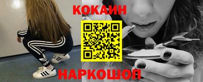 стафф Кингисепп
