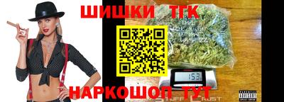 стафф Кингисепп