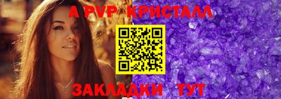 стафф Кингисепп