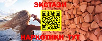 стафф Кингисепп