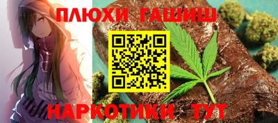 стафф Кингисепп