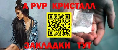 стафф Кингисепп