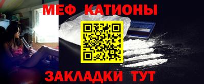 стафф Кингисепп