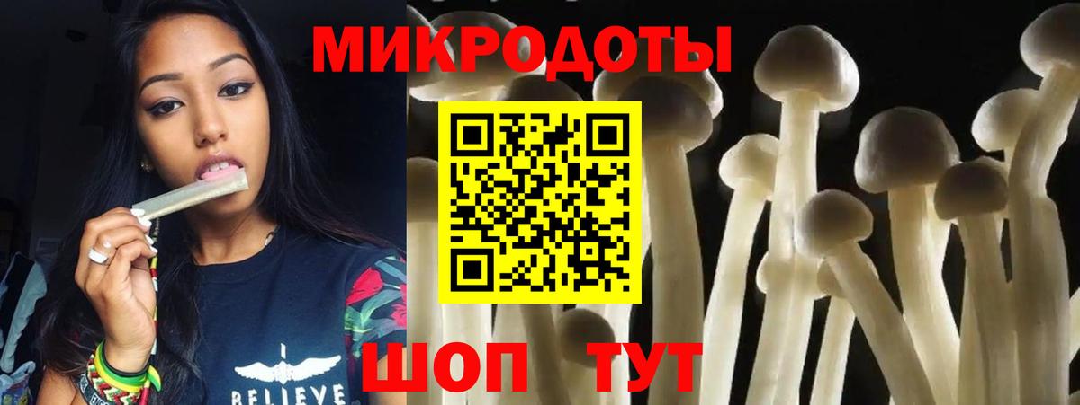Кудымкар  Галлюциногенные грибы Psilocybe  Вход с VPN 